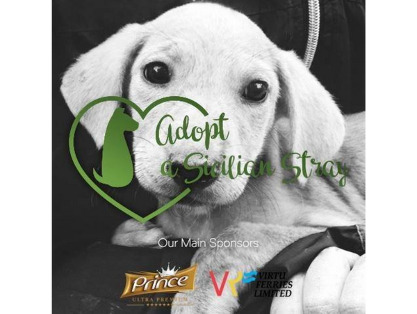 Adopt a Sicilian Stray Logo