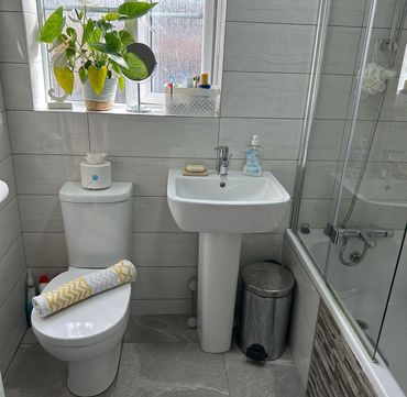 Domestic clean