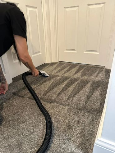 Carpet clean 