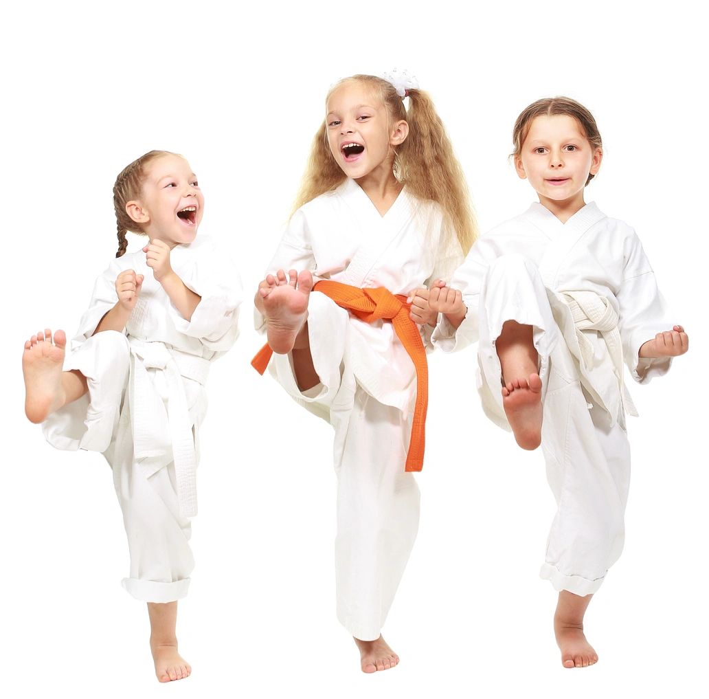 Martial Arts Classes For Kids