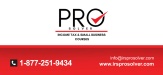 IRS PRO SOLVER Inc.