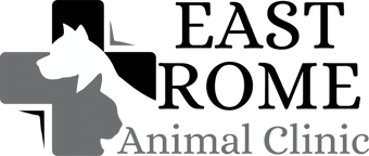 East Rome Animal Clinic