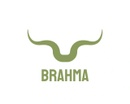 Brahma Hats & Accessories