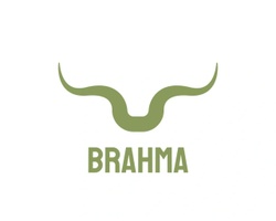 Brahma Hats & Accessories