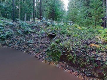 A scenic pond in a forested area with greenery around.