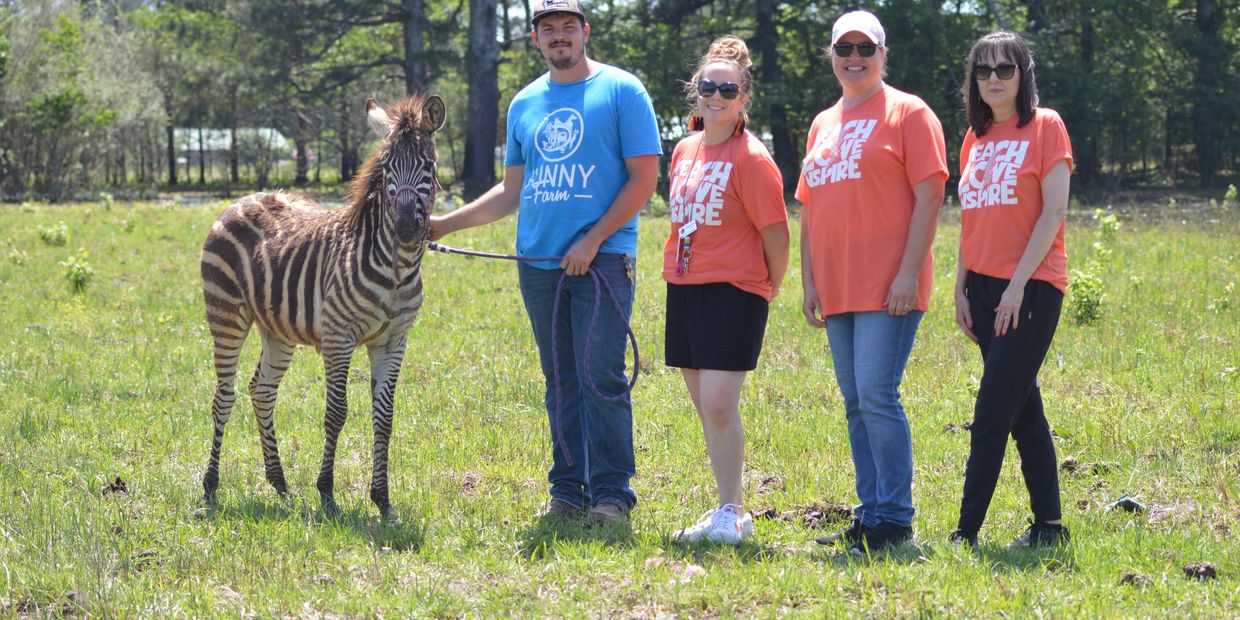 Teachers petting Zorro the Zebra