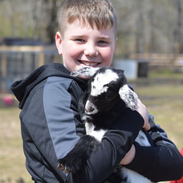 boy holding baby goat
