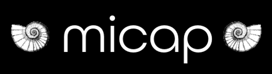 MICAP l.l.c.