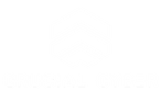 Crucial Cyber