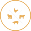 Whisk'd Away Ranch
