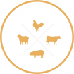 Whisk'd Away Ranch