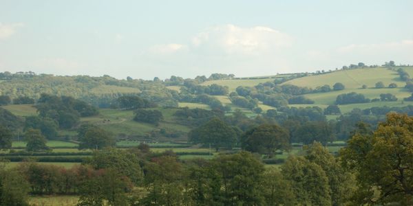 Scenic countryside with rolling green hills and scattered trees.
