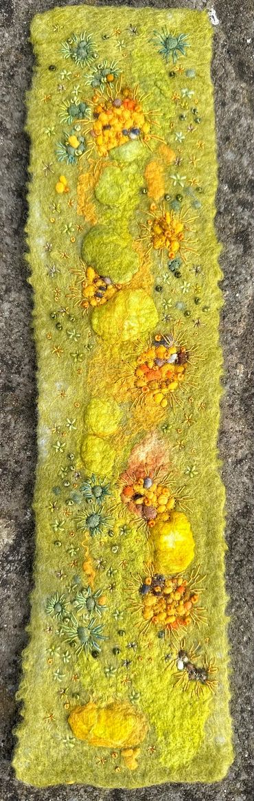 Lichens wet felt and embroidery 