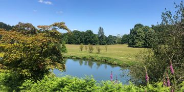 Lake surrounded by grass, plants and trees.