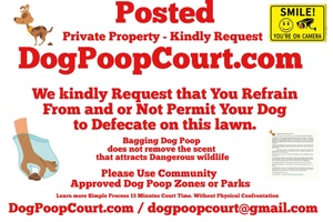Dog Poop Court