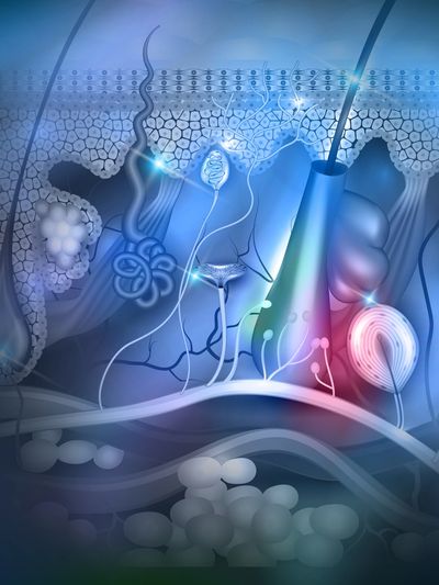 exosomes, skin, hair, PDRN, peptides, stem cells
