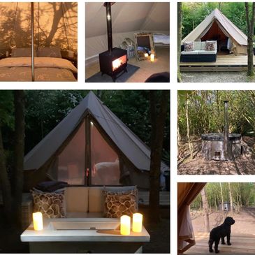 Cozy glamping tent with warm lighting, wood stove, and forest views.