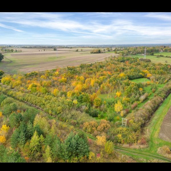 Aerial view of a vibrant autumn forest surrounded by fields under a partly cloudy sky.