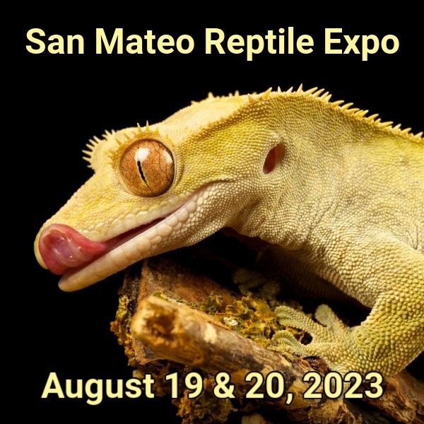 Reptile Realms Bay Area Reptile Expos