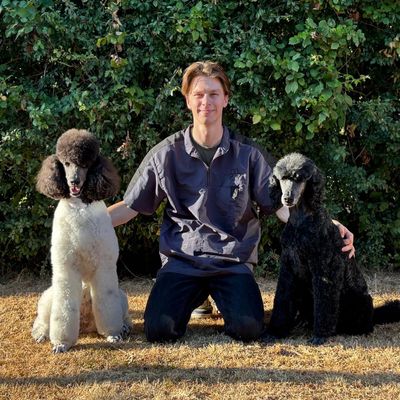 Young man kneels with two poodles, one white and one black, outdoors.