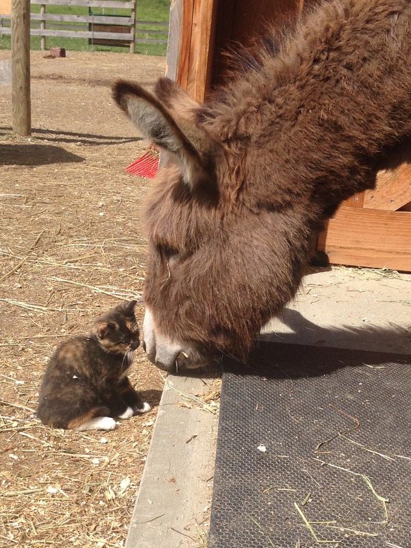 Ernie and Lily