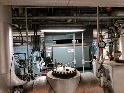 Large Electric Motor in a Plant setting