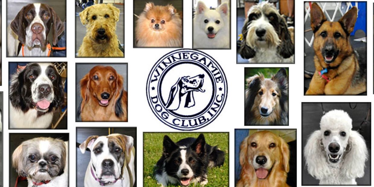 The Winnegamie Dog Club, located in Menasha, Wisconsin, is an all-breed dog club affiliated with the