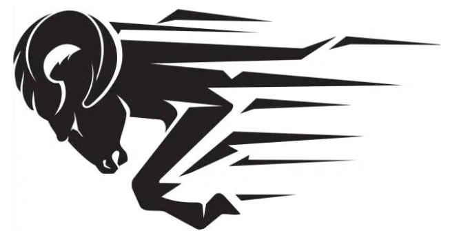 Ram Services LLC