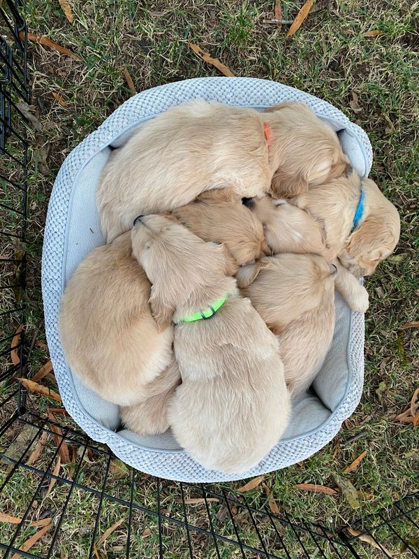 Journey and Stryker, 10/15/2021