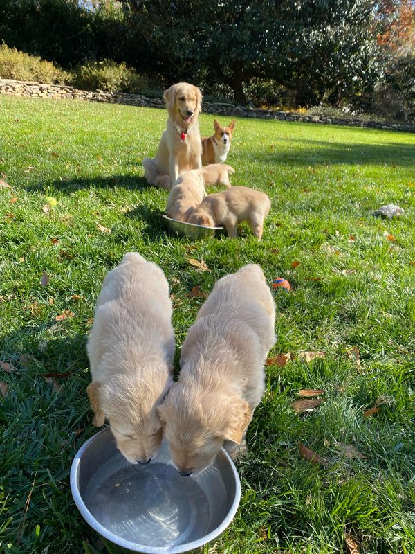 Journey and Stryker, 10/15/2021