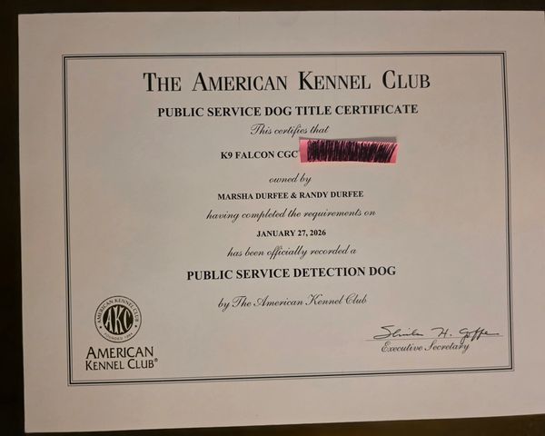 Certificate from The American Kennel Club for a Public Service Detection Dog titled to K9 Falcon CGC.
