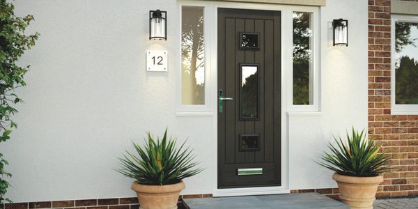 Modern house entrance with black door and symmetrical plants.