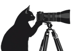 Giant Cat Productions