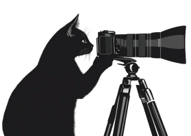 Giant Cat Productions