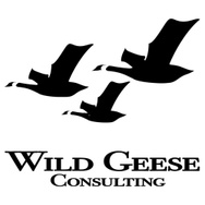 Wild geese 