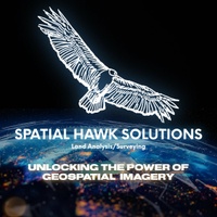 Spatial Hawk Solutions