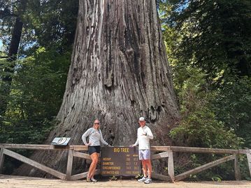 McKinnis at Big Tree Redwoods National Forest