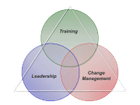 www.trainingfortransfer.com
