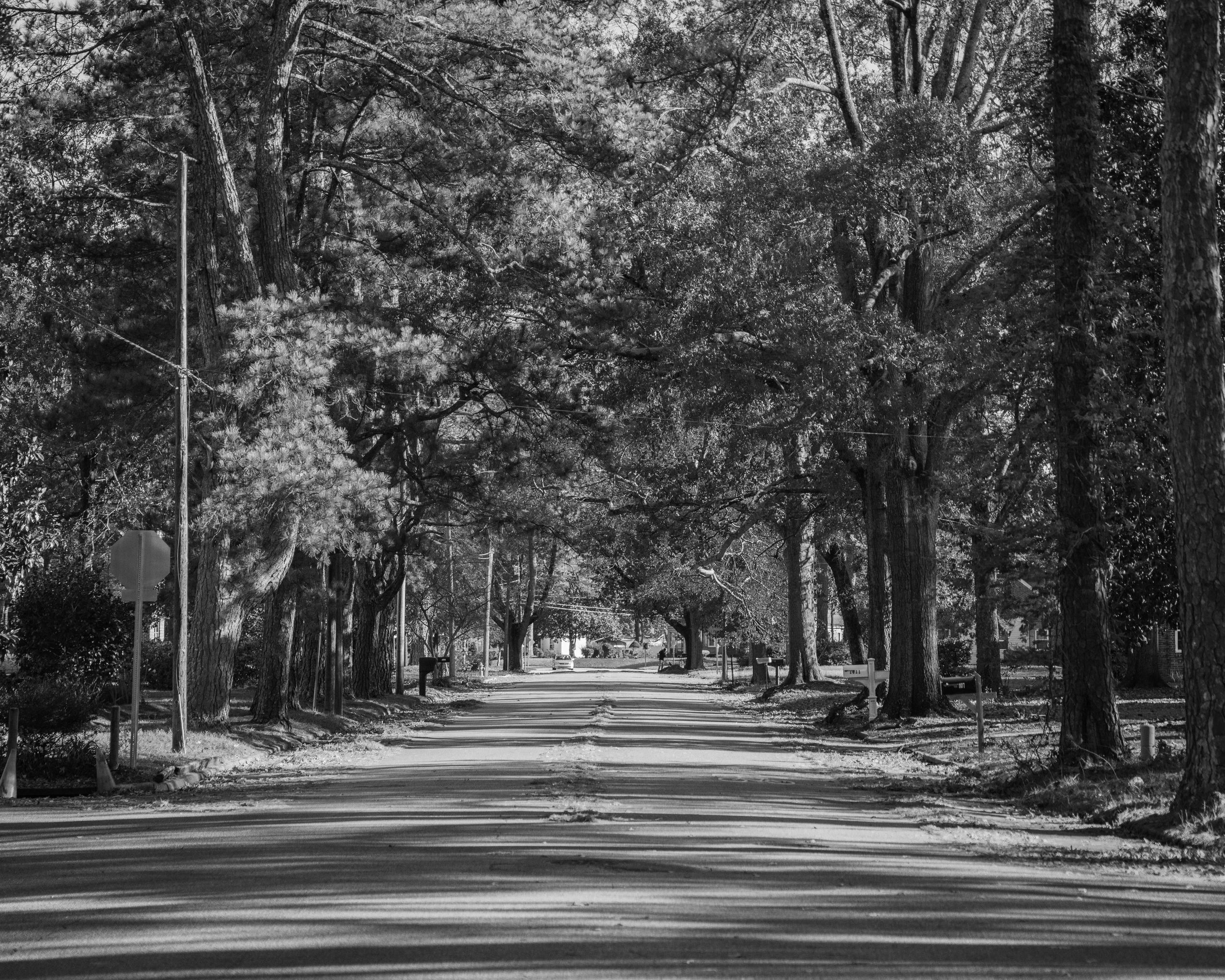 Historic Edgemont Community Association