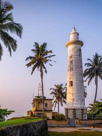 Cadaveric Regional Anaesthesia Mastery