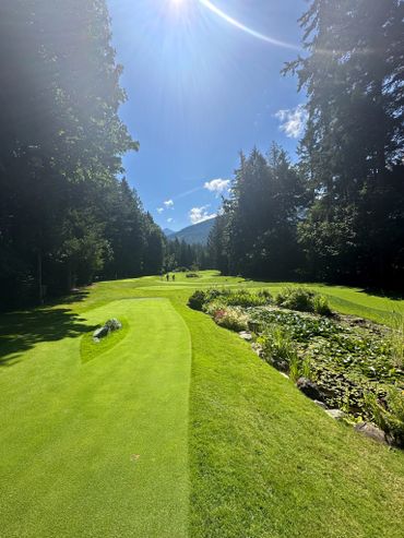 Putting Greens, Blue Skies