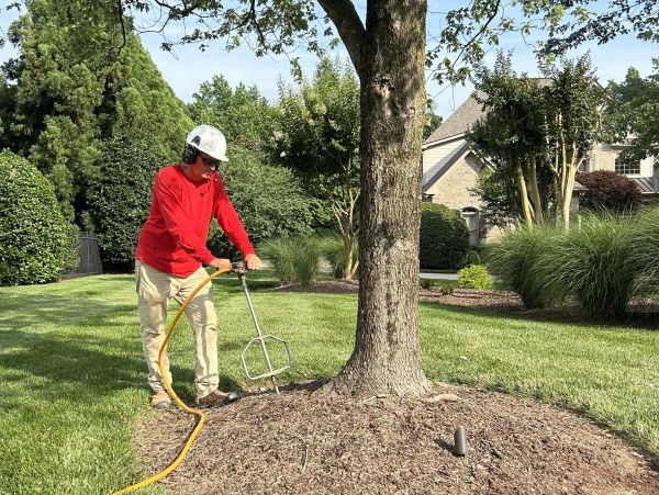 Crew member doing a deep root fertilization. 