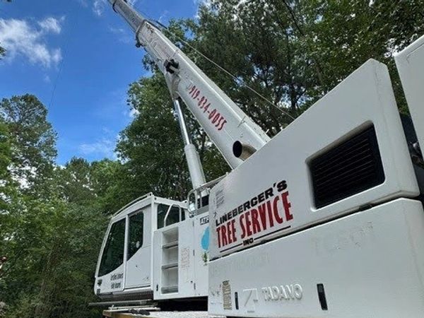 Large tree service crane by Lineberger's Tree Service.