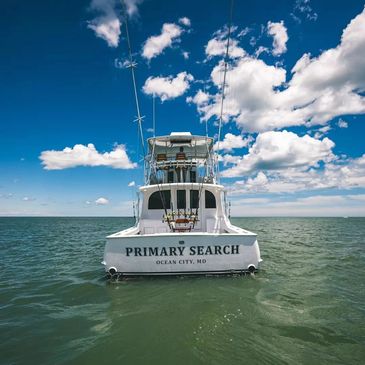 Primary Search Sport fishing