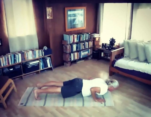 chataranga dandasana
