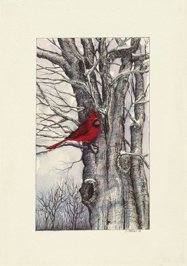 Pen and Ink