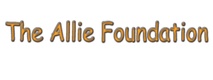 The Allie Foundation