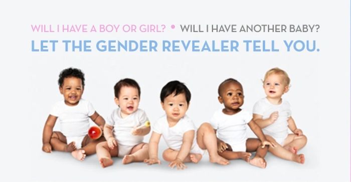 Gender Revealer: Will I have a boy or girl? Will I have a baby? Let the Gender Revealer Tell You!