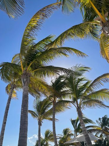 Punta Cana, Dominican Republic - Lubot Definition