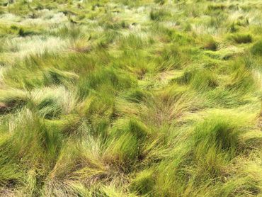 Eastern Shore, Maryland - Lubot Definition